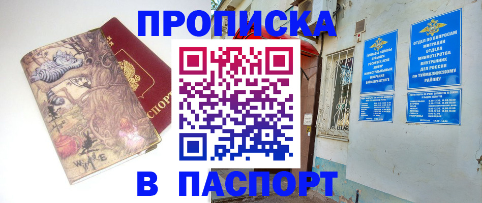 пропишу в квартире в Большом Камне